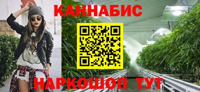 гашик Будённовск