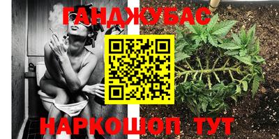 гашик Будённовск