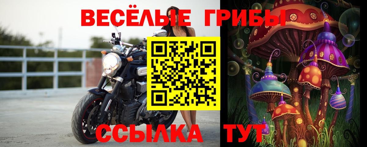 наркошоп  Вход с VPN  Михайловка  Псилоцибиновые грибы Psilocybe 