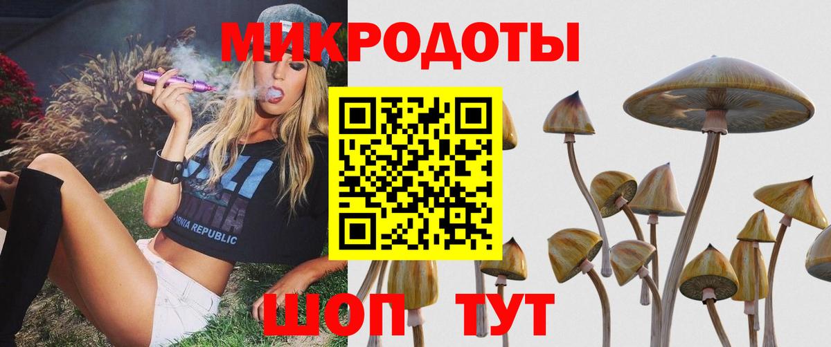 Псилоцибиновые грибы Cubensis Михайловка